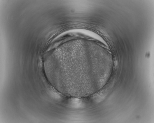 X0000090500325200708102246