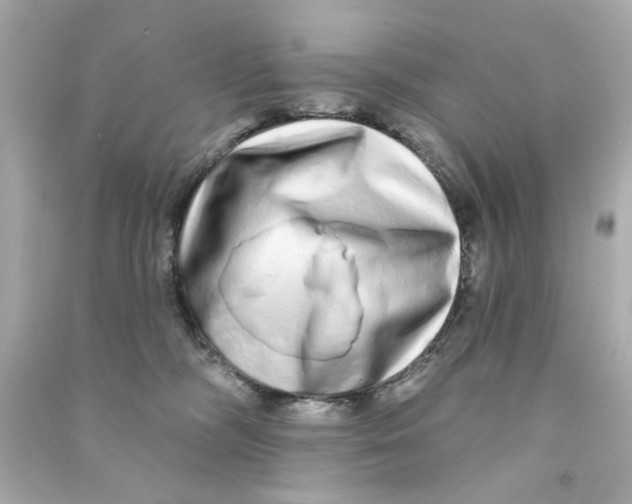 X0000090500326200708102246