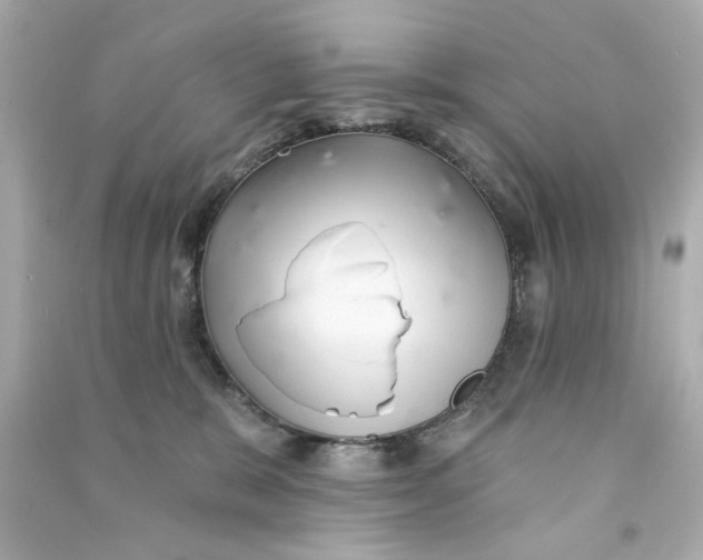 X0000090500327200708102246