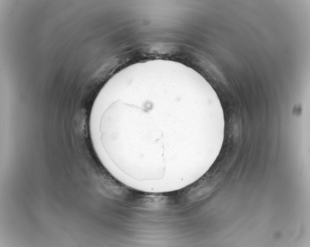 X0000090500328200708102246