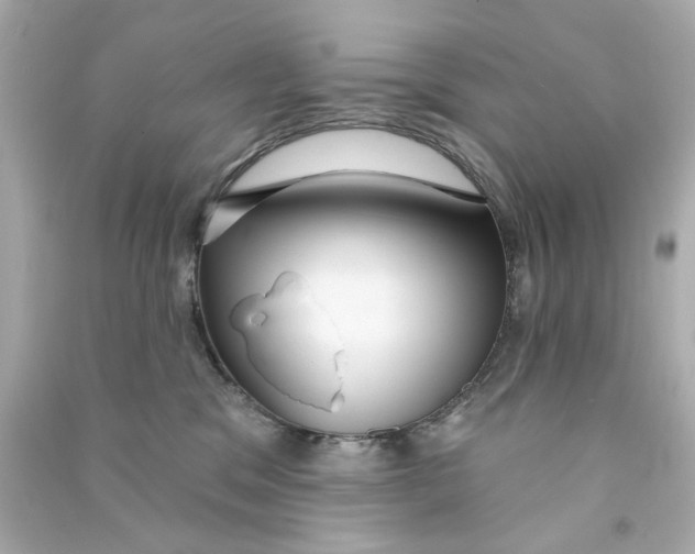 X0000090500329200708102246