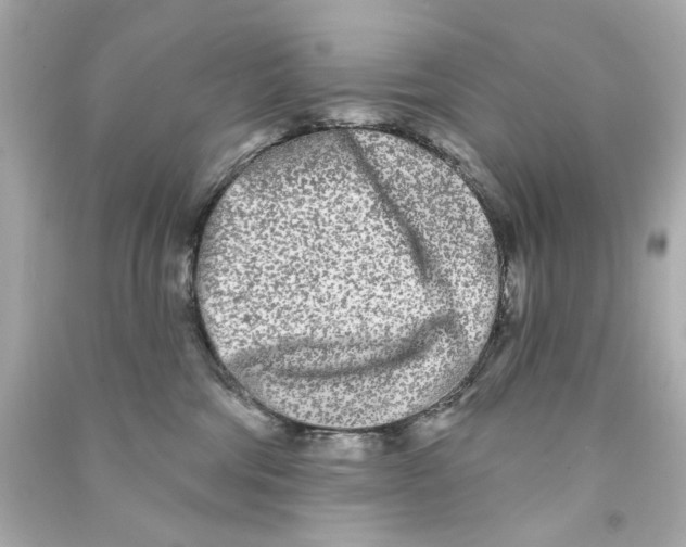 X0000090500330200708102246