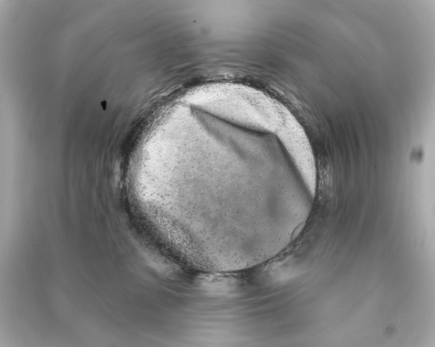 X0000090500331200708102246