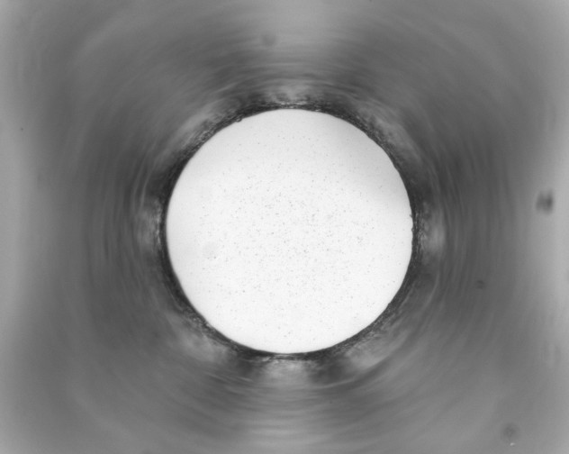 X0000090500332200708102246