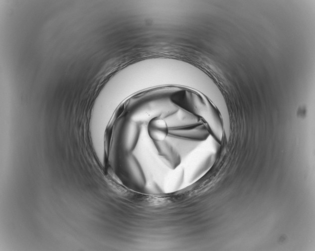 X0000090500333200708102246