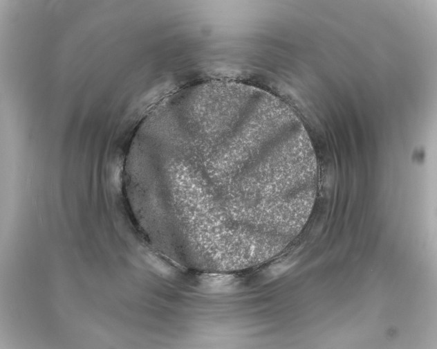 X0000090500334200708102246