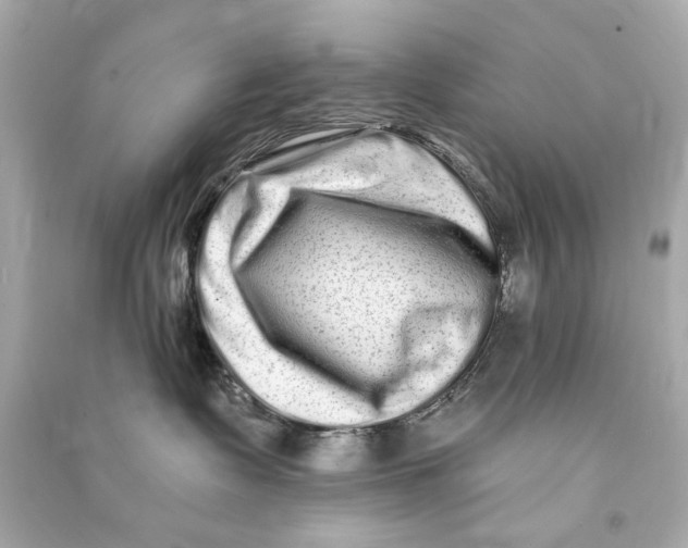 X0000090500335200708102246