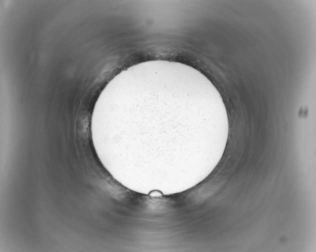 X0000090500336200708102246