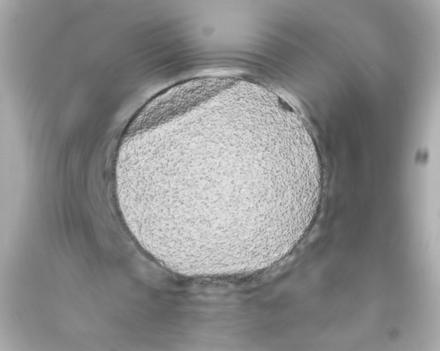 X0000090500337200708102245