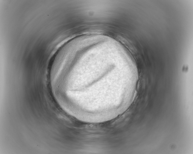 X0000090500338200708102245