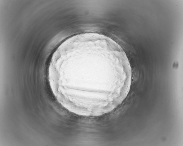 X0000090500339200708102245