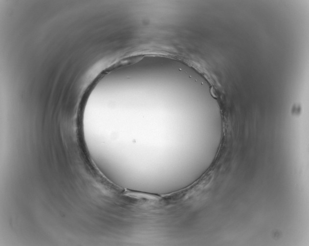 X0000090500340200708102245
