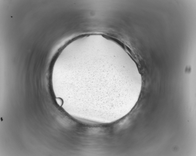 X0000090500342200708102245