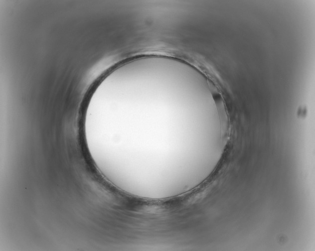 X0000090500344200708102245