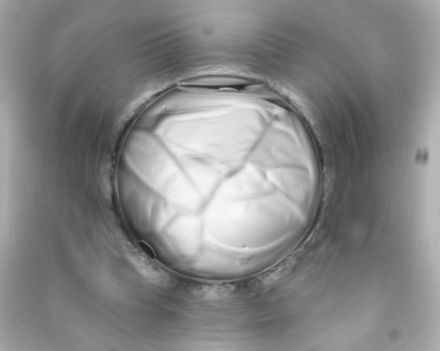 X0000090500345200708102245