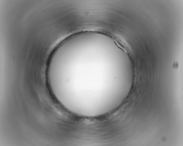 X0000090500346200708102245