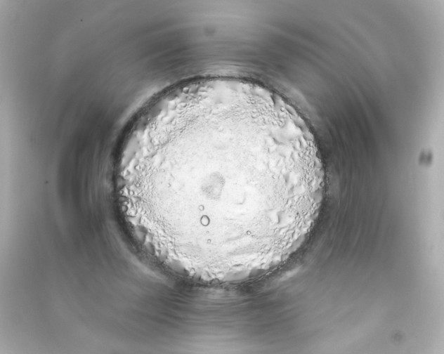 X0000090500347200708102246