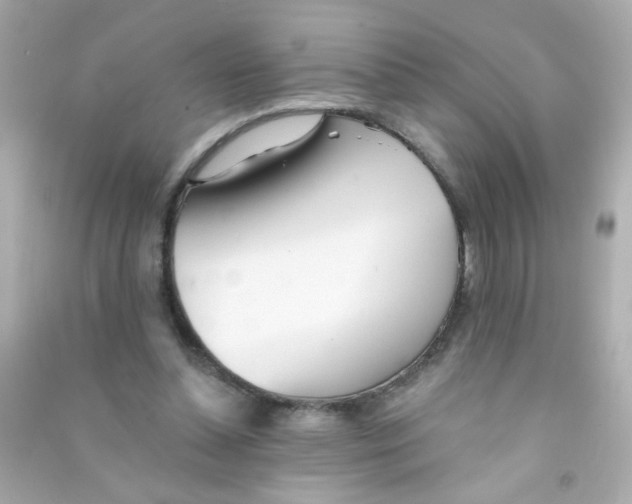 X0000090500348200708102246