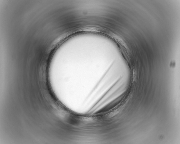 X0000090500349200708102246