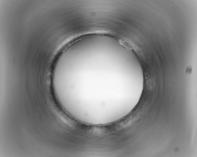 X0000090500350200708102246