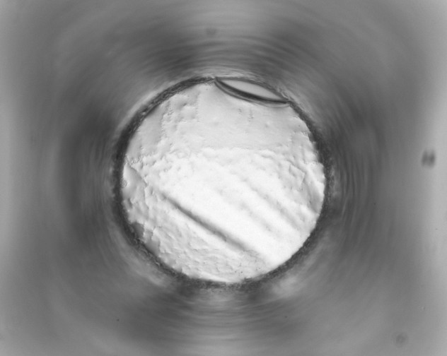 X0000090500351200708102246