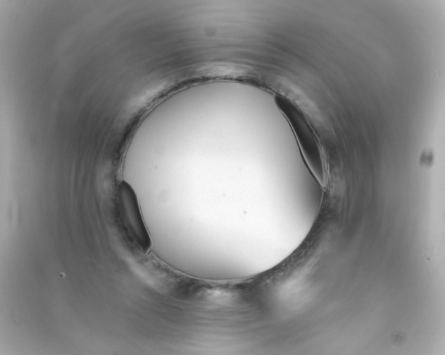 X0000090500352200708102246