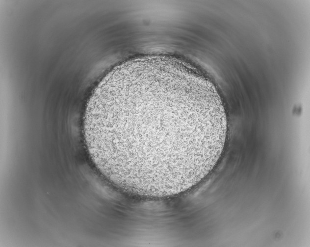 X0000090500353200708102246