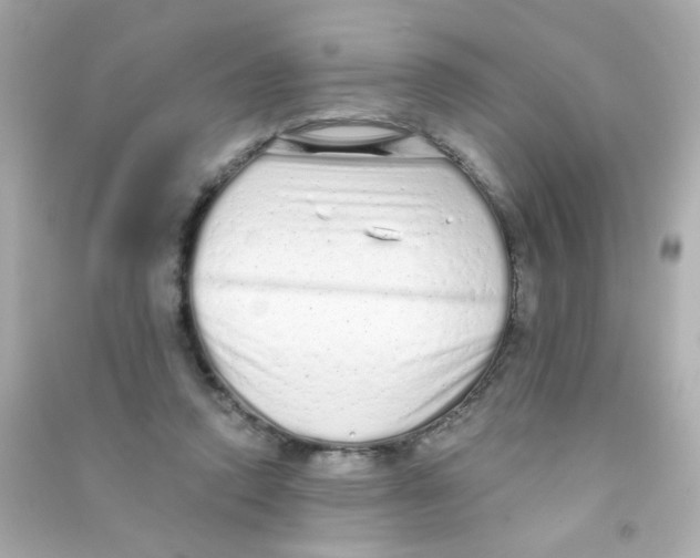 X0000090500354200708102246
