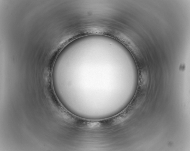 X0000090500355200708102246