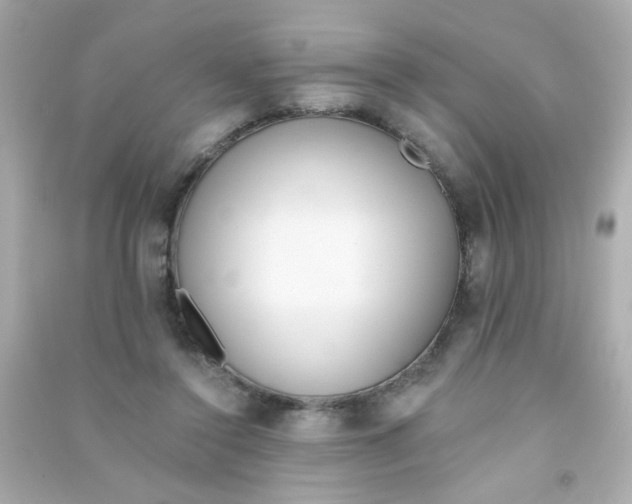 X0000090500356200708102246