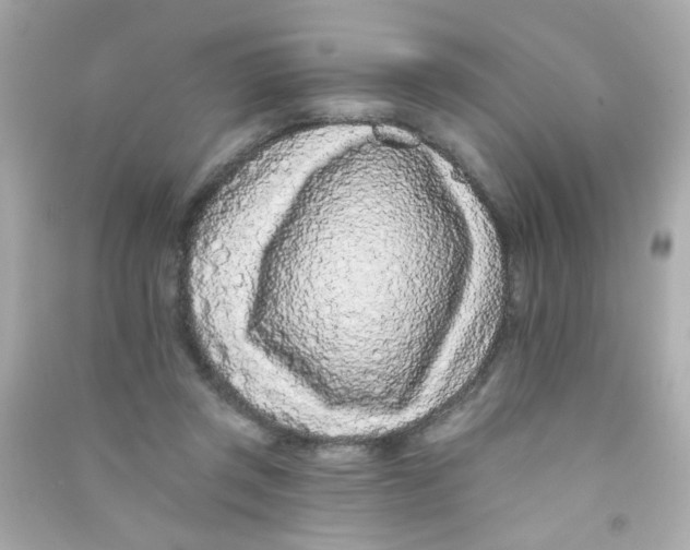 X0000090500357200708102246