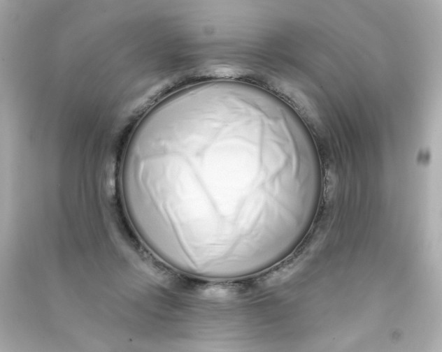 X0000090500358200708102246
