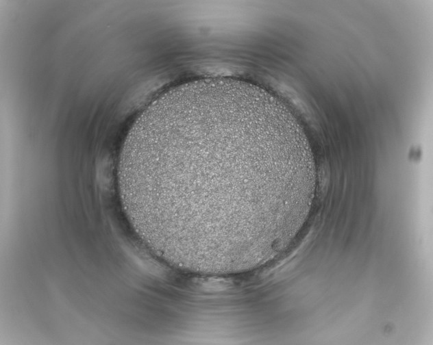 X0000090500359200708102246