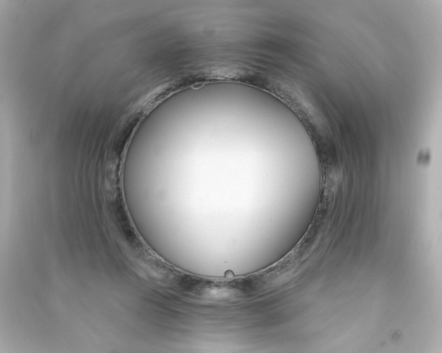 X0000090500360200708102246