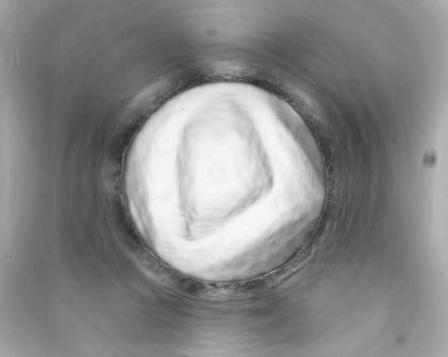 X0000090500361200708102246