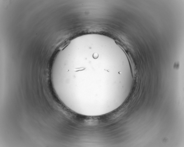 X0000090500362200708102246