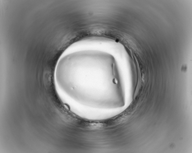 X0000090500363200708102246