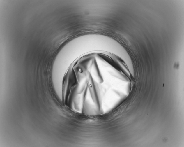 X0000090500364200708102246