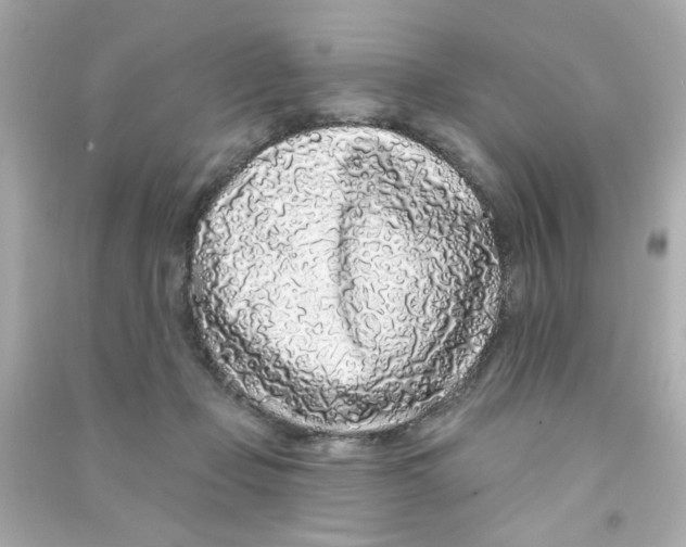 X0000090500365200708102246