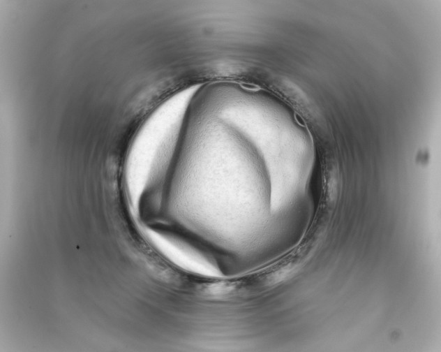 X0000090500366200708102246