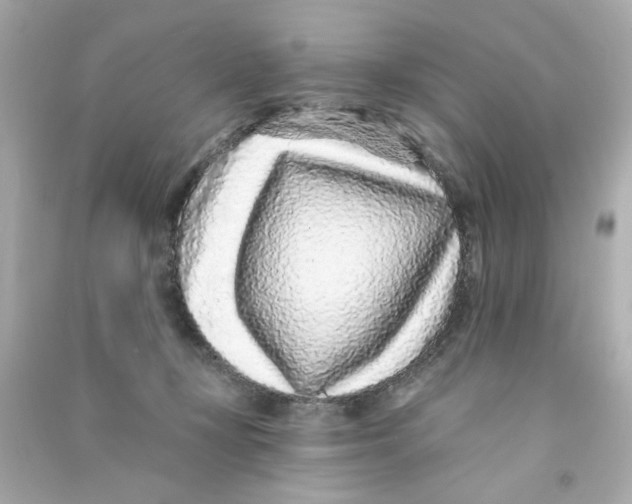 X0000090500367200708102246