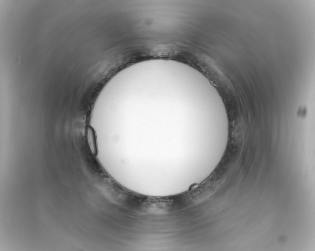 X0000090500368200708102246
