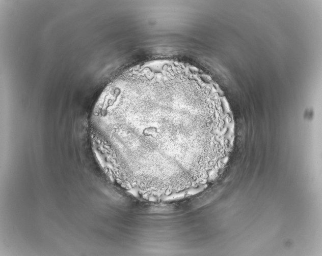 X0000090500369200708102246