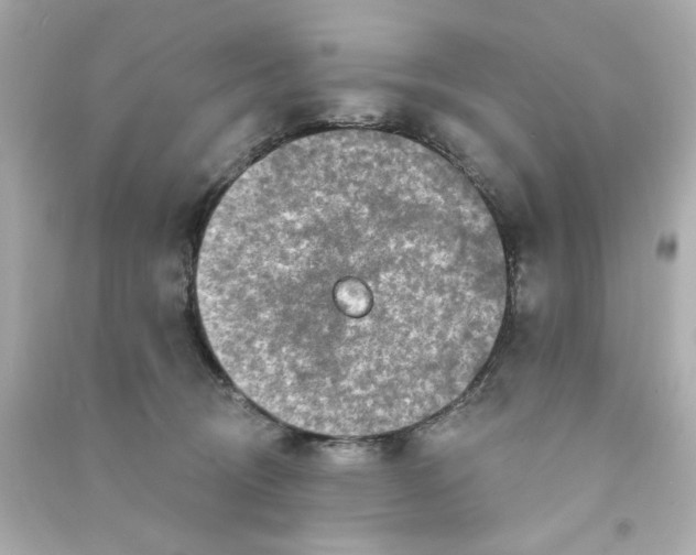 X0000090500370200708102246