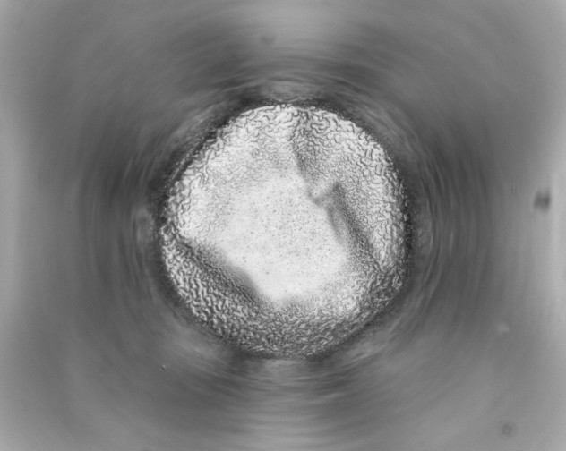 X0000090500371200708102246