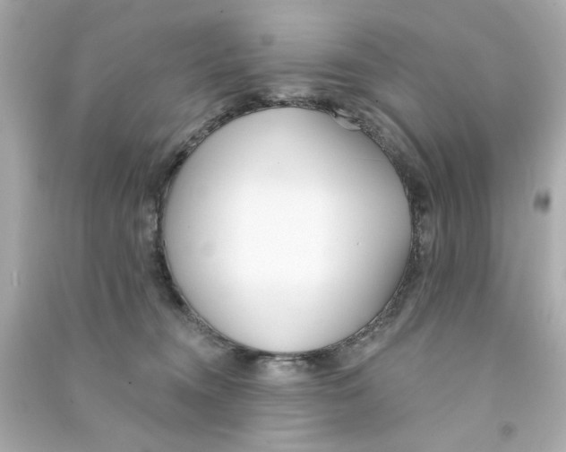 X0000090500372200708102246