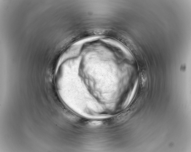 X0000090500374200708102246