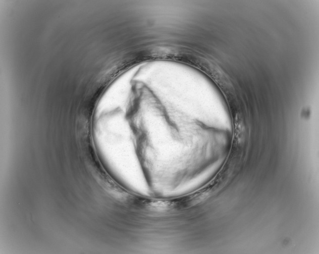 X0000090500375200708102246