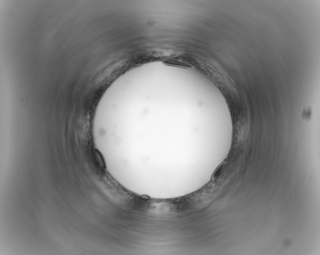 X0000090500376200708102246