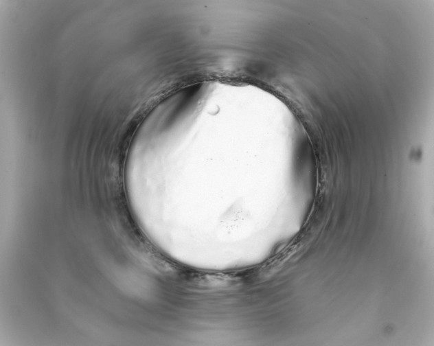 X0000090500377200708102246